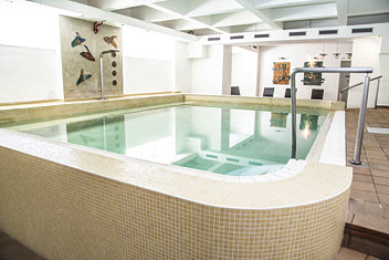 Centrál bazén s SPA